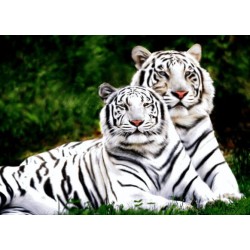 نخ و نقشه تابلو فرش حیوانات کد 51