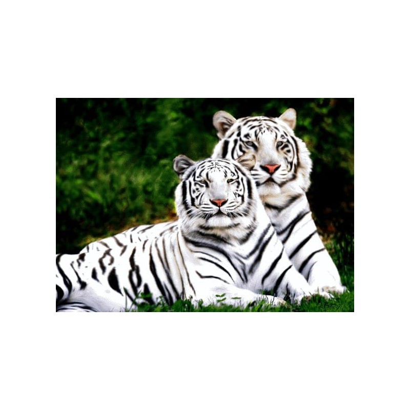 نخ و نقشه تابلو فرش حیوانات کد 51