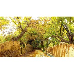 نخ و نقشه تابلو فرش کد 7...