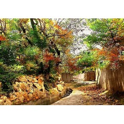 نخ و نقشه تابلو فرش کد 14...