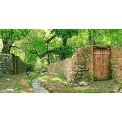 نخ و نقشه تابلو فرش کد 36...