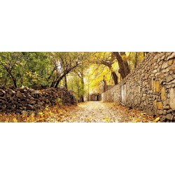 نخ و نقشه تابلو فرش کد 37...