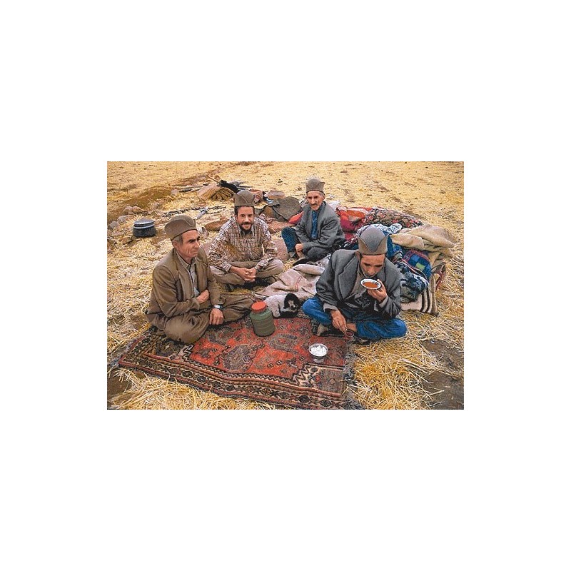 نخ و نقشه تابلو فرش ایرانی کد-33 مردان عشایر