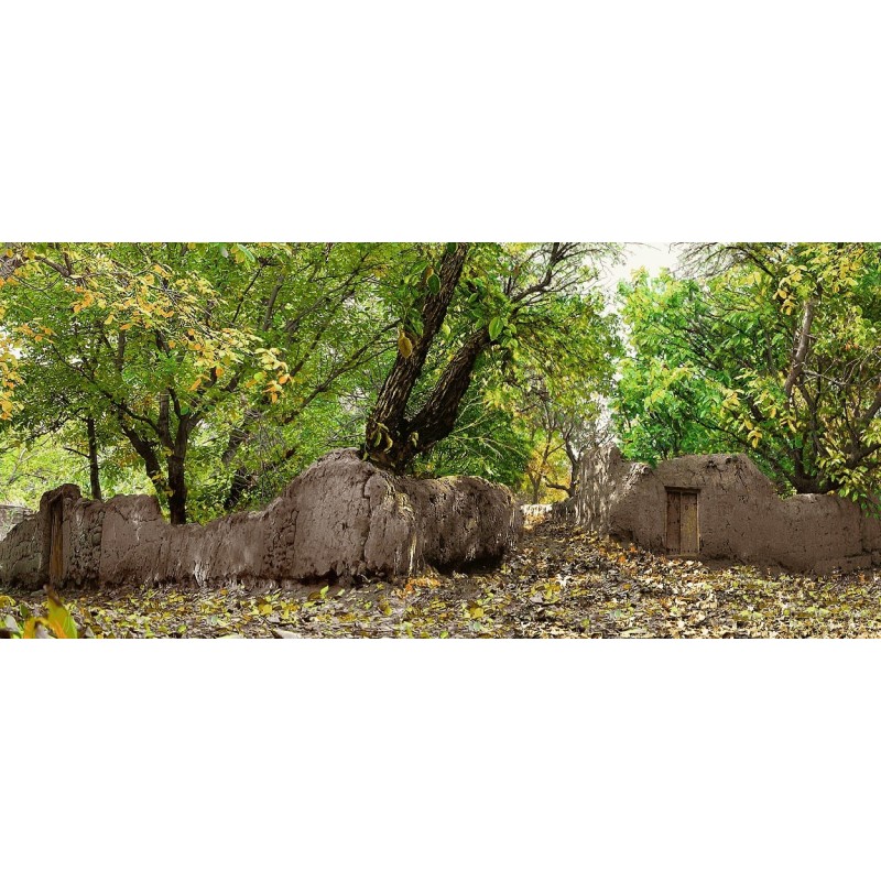 نخ و نقشه تابلو فرش  کد 41