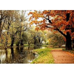 نخ و نقشه تابلو فرش  کد 44