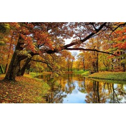 نخ و نقشه تابلو فرش  کد 45