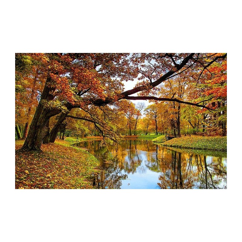 نخ و نقشه تابلو فرش  کد 45