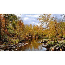 نخ و نقشه تابلو فرش  کد 46