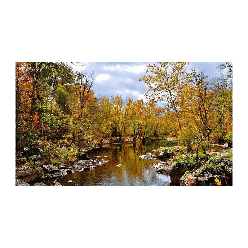 نخ و نقشه تابلو فرش  کد 46