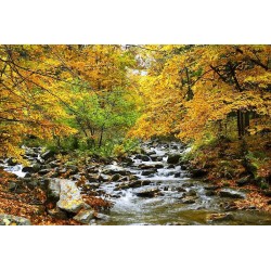 نخ و نقشه تابلو فرش  کد 48