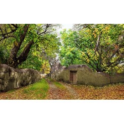 نخ و نقشه تابلو فرش طبیعت کد 49