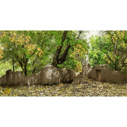 نخ و نقشه تابلو فرش طبیعت کد 50