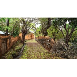 نخ و نقشه تابلو فرش طبیعت کد 67