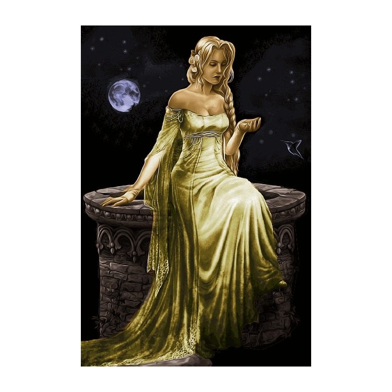 نخ و نقشه تابلو فرش فرانسوی کد 127