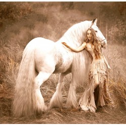 نخ و نقشه تابلو فرش فرانسوی کد 131