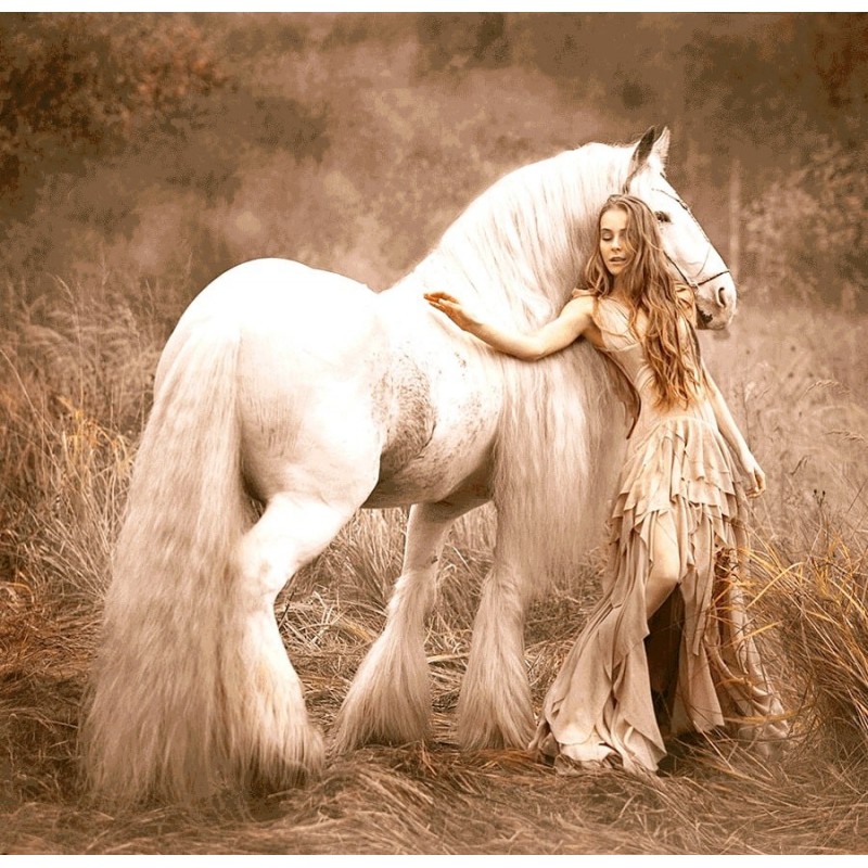 نخ و نقشه تابلو فرش فرانسوی کد 131